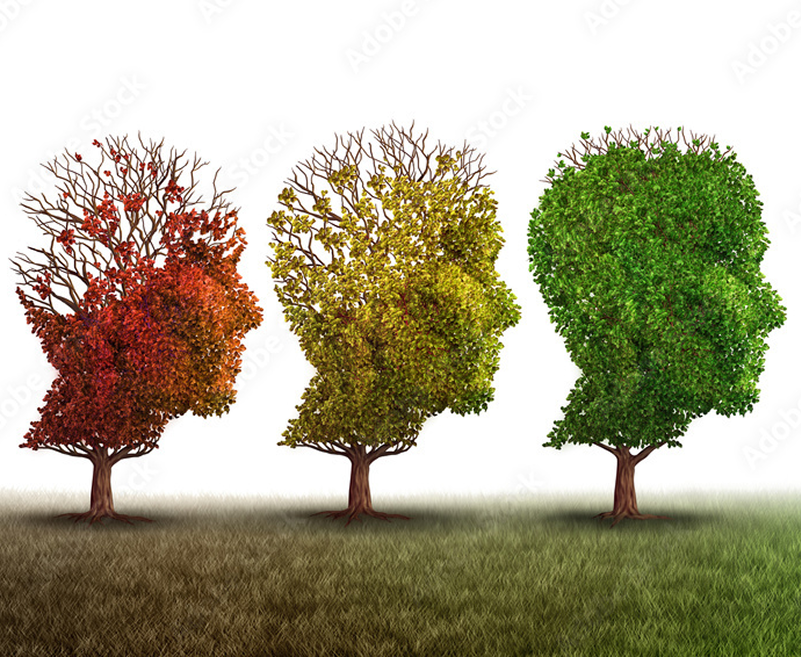 3 Trees shaped as heads, from left to right they are red, yellow, and green with the words Strengthening Connections through creativity